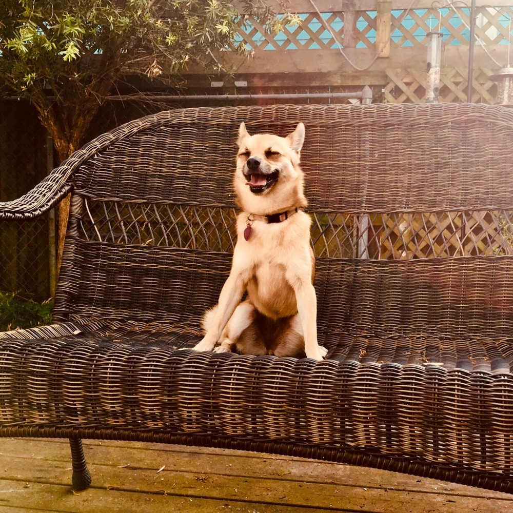 Meet your Posher, Susan